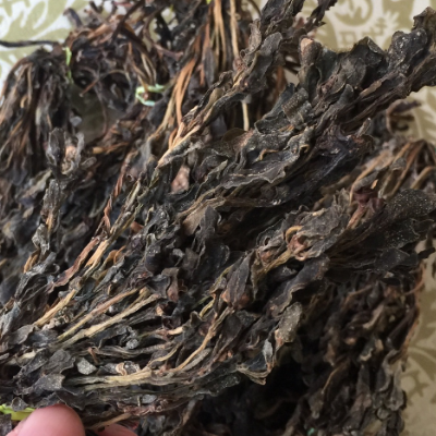 干马齿苋怎么做才好吃 功效与作用有哪些