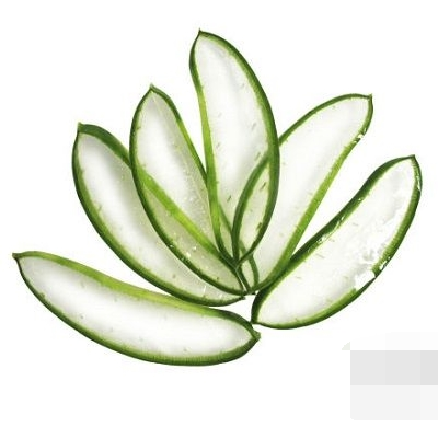 芦荟粉怎么吃好 能减肥吗