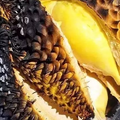 火烤榴莲的详细做法 味道怎怎么样