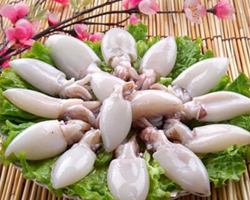 墨鱼怎么泡发 教你快速泡发墨鱼