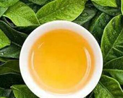 咽喉炎喝什么茶好 6款茶水推荐