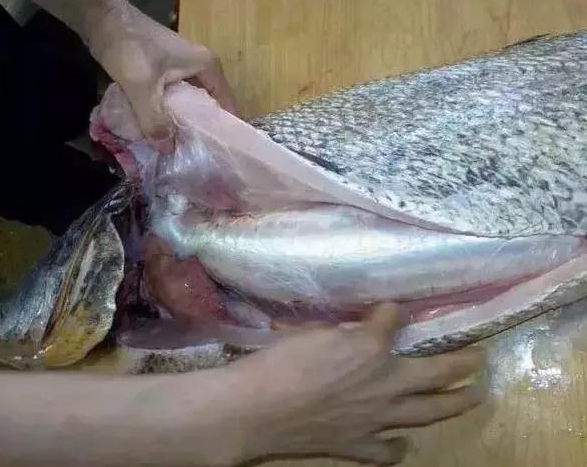 花胶的做法步骤图解 多少钱一斤