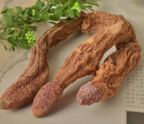 干锁阳怎么吃 干锁阳怎么切片