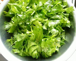 芹菜叶需要焯水吗 教你怎么避免维生素的流失