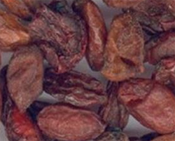山萸肉的功效与作用 副作用有哪些