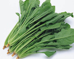 宝宝吃菠菜好吗 慎吃需注意