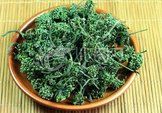人参花多少钱一斤 泡水喝的功效