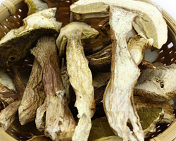 干牛肝菌要泡多久 怎么洗才干净