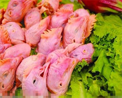 动物不能吃的部位 三腺鸡头臭腺黑衣