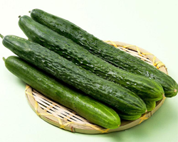 如何挑选蔬菜 青菜芹菜生姜