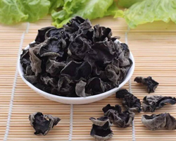 黑木耳食用禁忌 哪些人不能吃