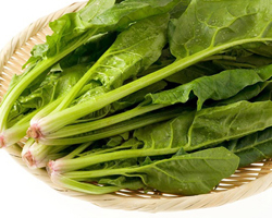 孕妇能吃菠菜吗 有哪些好处