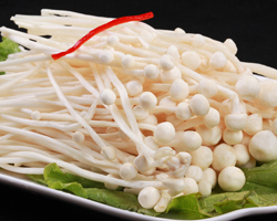 金针菇和银针菇的区别 就是颜色不同而已