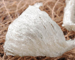 燕窝是怎么形成的 是燕子的口水吗