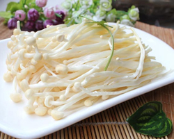 金针菇坏了是什么样子 几招助你挑选金针菇