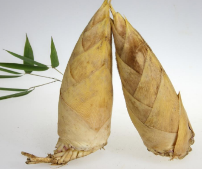 春笋的营养价值 功效与食用禁忌