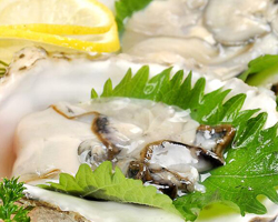 生蚝怎么清洗内脏 食用注意事项须知