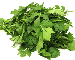 小孩能吃芹菜叶吗 宝宝吃芹菜注意事项