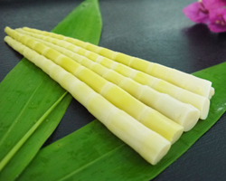 胆结石可以吃竹笋吗 饮食要注意什么原则