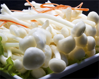 金针菇怎么清洗 乳白的还是黄褐色的好
