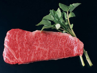 怎样挑选羊肉 绵羊肉山羊肉差别大