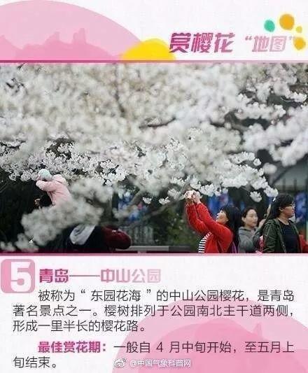 清明节放假安排 清明节樱花开了吗
