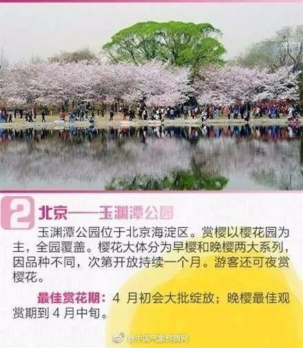 清明节放假安排 清明节樱花开了吗