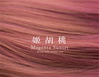 姬胡桃发色搭配樱花粉发型图片 适合什么人群