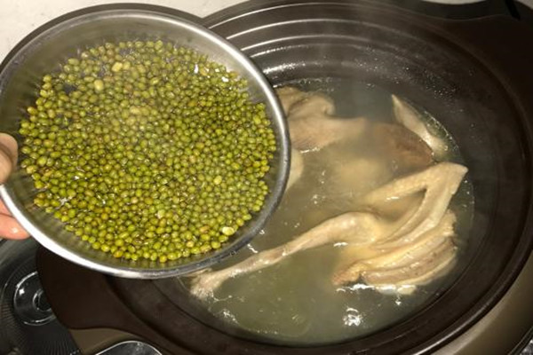 孕妇绿豆煲老鸽的做法 不可不学的排毒老鸽汤