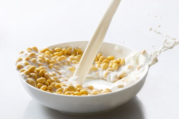 有流产的征兆吃什么好 先兆流产的饮食禁忌