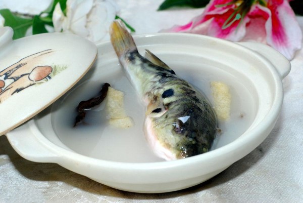 通草鲫鱼汤的做法 通乳下奶宝妈赶紧喝起来