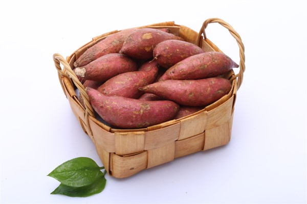 孕中期吃红薯代替主食好吗 究竟能不能吃专家说了算