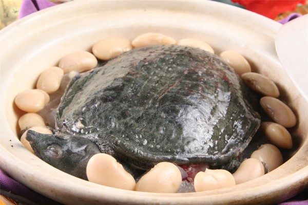 哪些海鲜孕妇不能吃 贪吃酿大祸孕妈且慎行