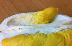 榴莲能放冰箱吗?如何保存榴莲的鲜味