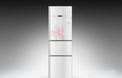 电冰箱选购技巧 助力家居生活