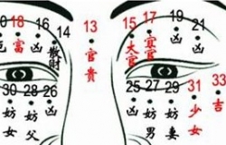 看相算命痣都有哪些