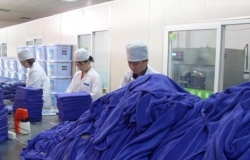 消毒毛巾什么品牌好