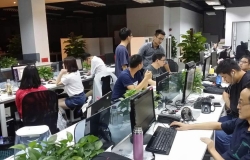 福窝网全员加速 通宵鏖战“双十一”