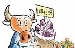 印花税率怎么算