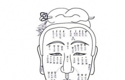 相面算命详解