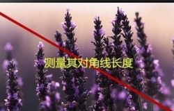 平板电视的尺寸多少最合适 平板电视的尺寸是多少