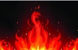 无辐射电磁炉有哪些 无辐射电磁炉推荐