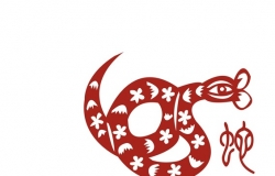 属相配对打分详解