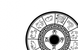 属相和楼层的关系有哪些