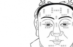 女人面相算命的含义