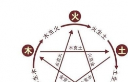 八字测算五行详解