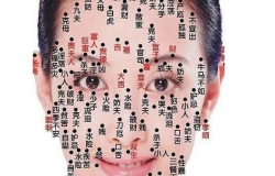 面相痣算命图解有哪些