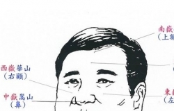 男人面相算命图解有哪些