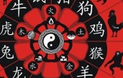 属相与风水布局
