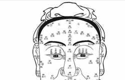 男人面相算命怎么看
